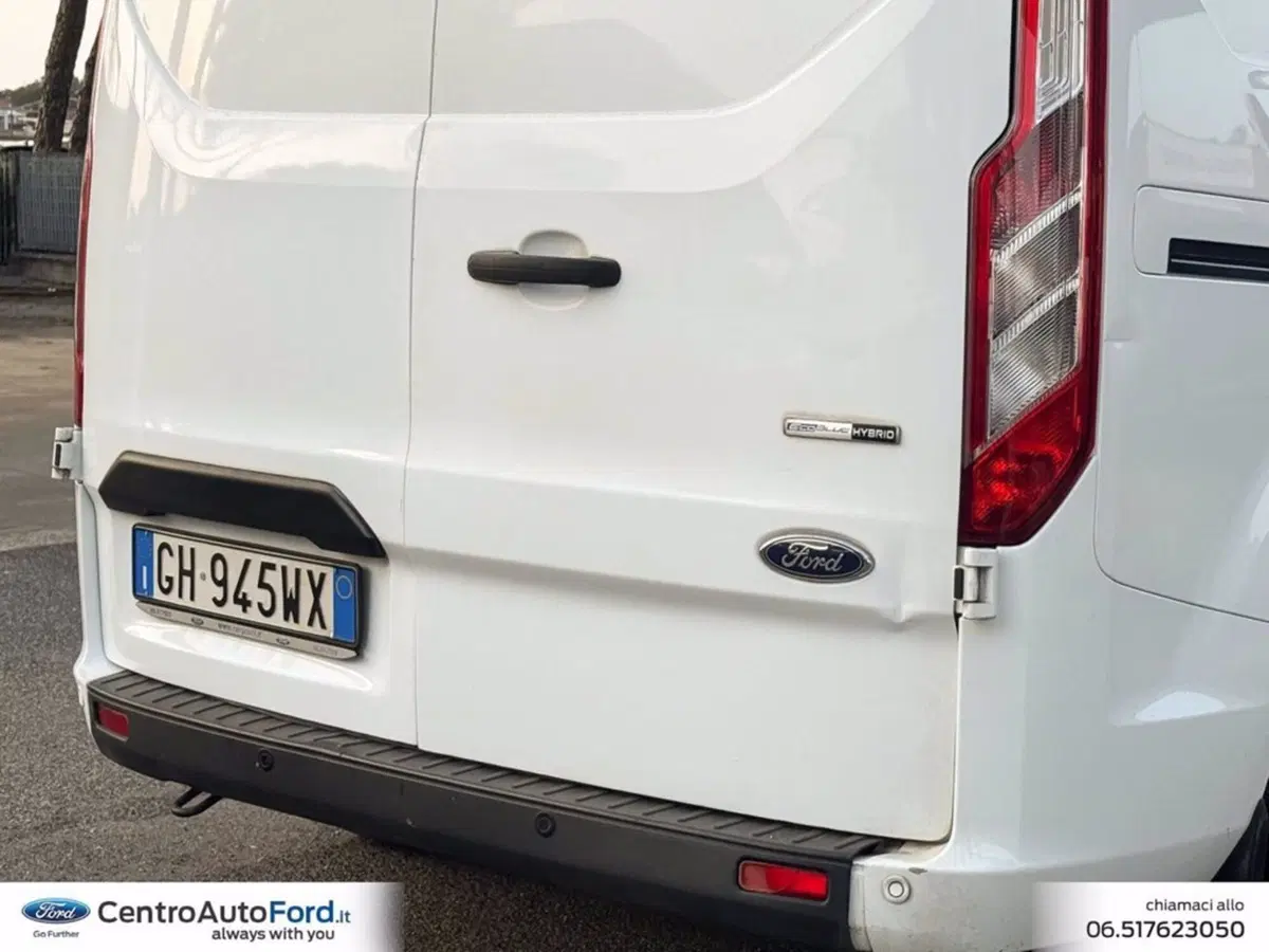 Ford Transit Custom Furgone usata a Roma (15)