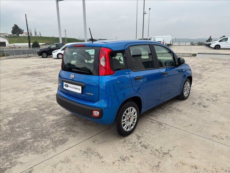 Fiat Panda Cross usata a Matera (4)