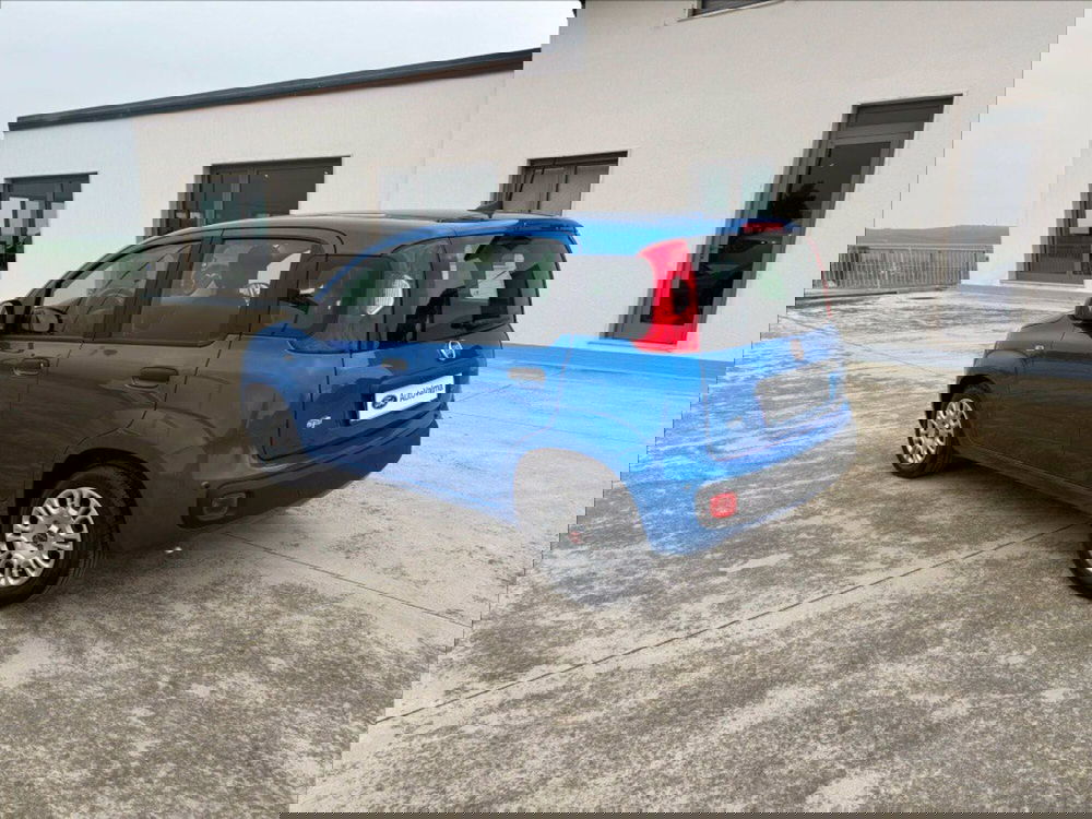 Fiat Panda Cross usata a Matera (5)