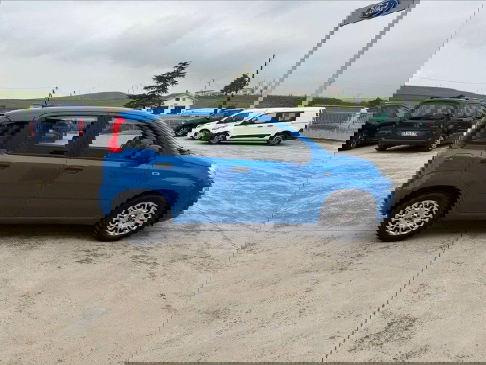 Fiat Panda Cross usata a Matera (7)