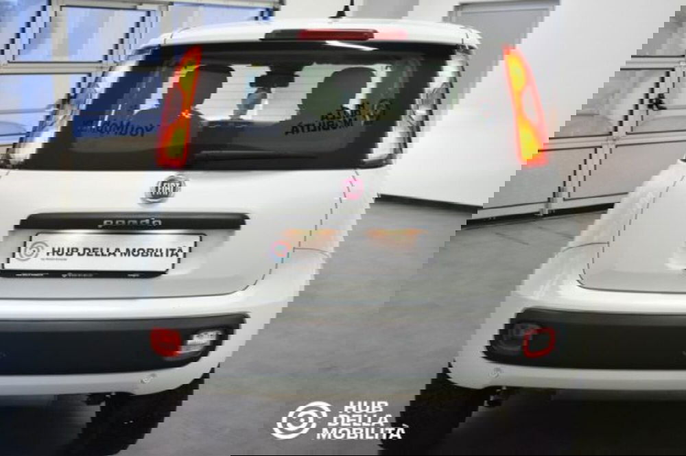 Fiat Panda usata a Perugia (5)