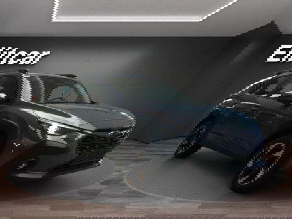 Subaru Crosstrek nuova a Novara (3)