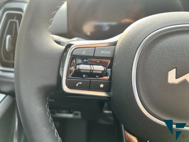 Kia Sorento nuova a Udine (10)
