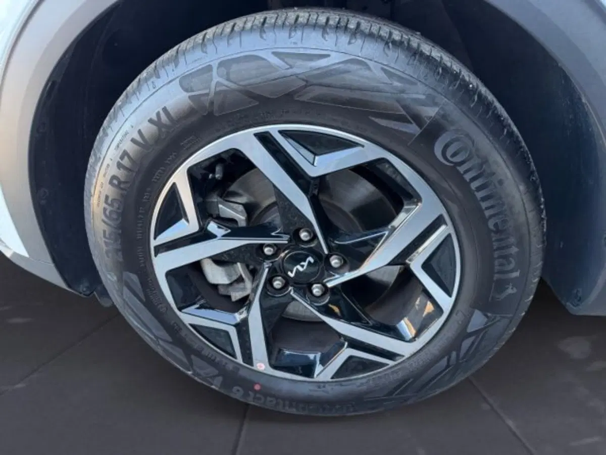 Kia Sportage usata a Udine (14)