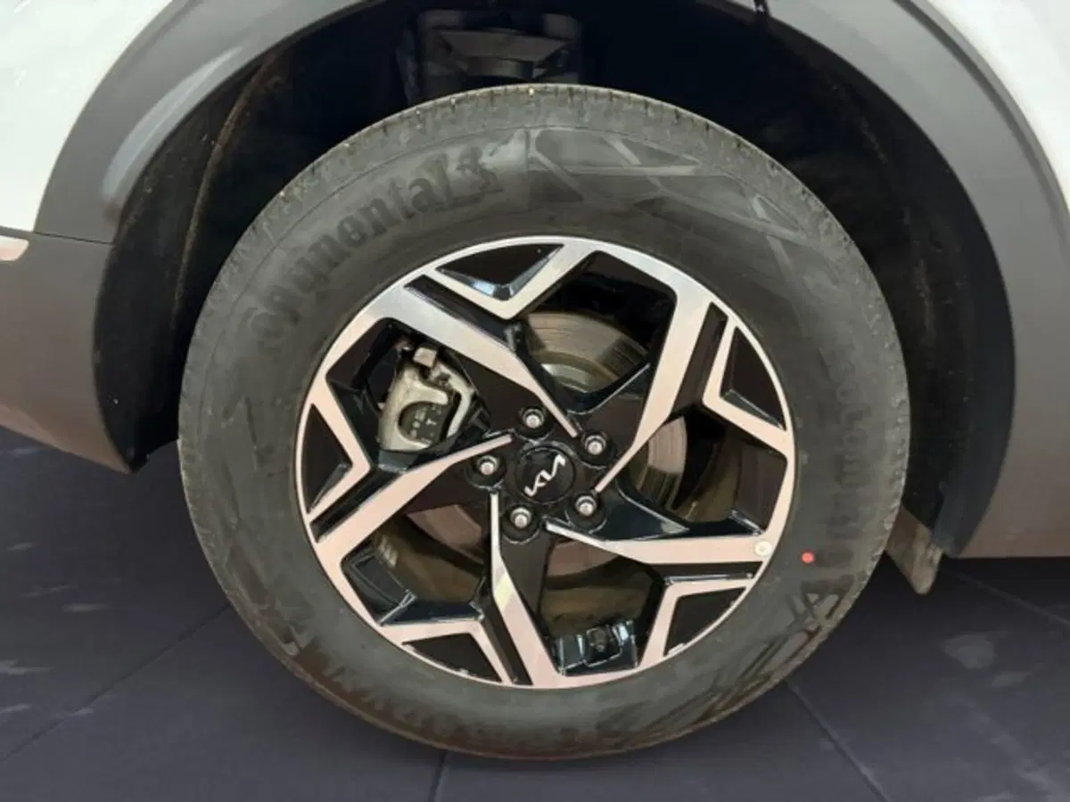 Kia Sportage usata a Udine (16)
