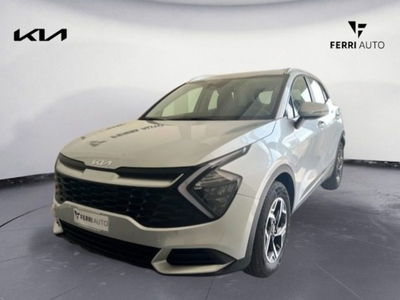 Kia Sportage 1.6 crdi mhev Business dct nuova a Tavagnacco