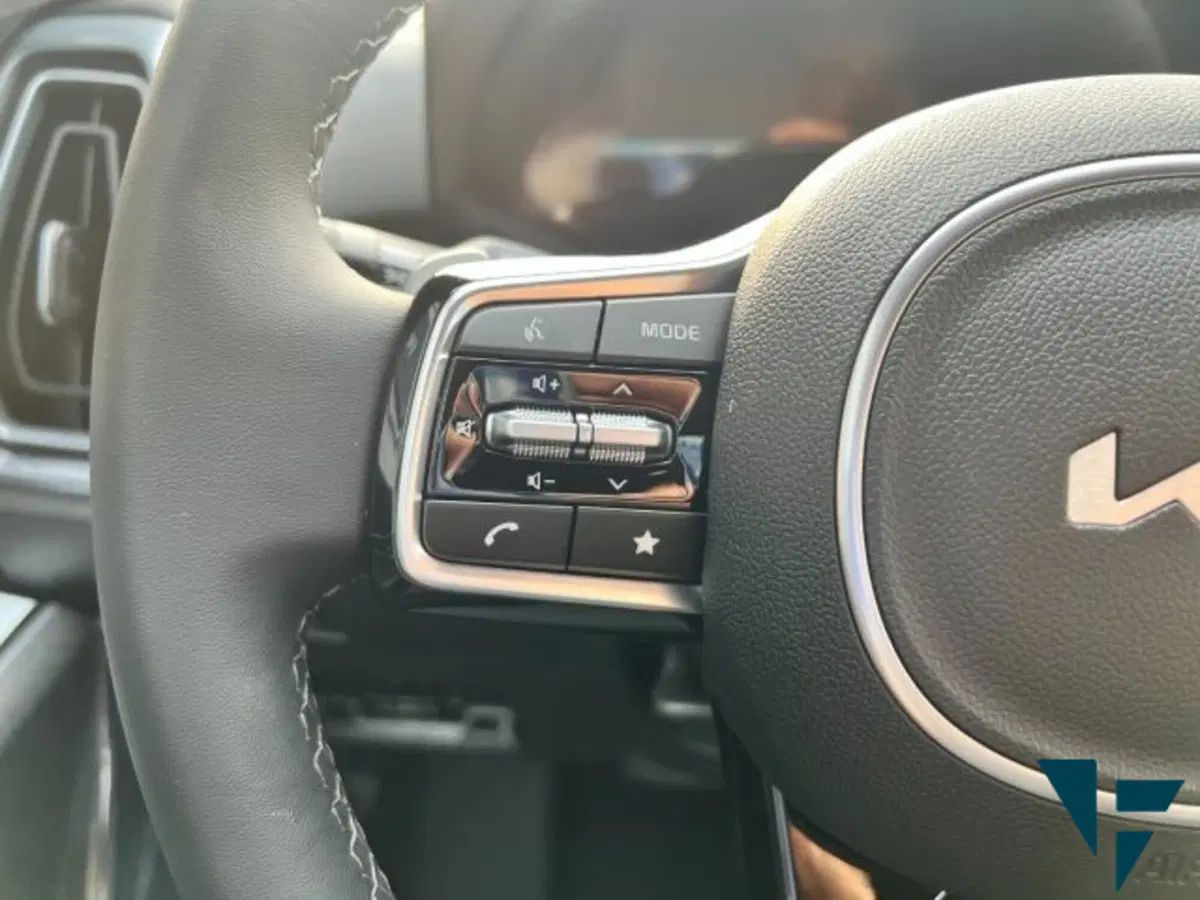 Kia Sorento nuova a Udine (11)