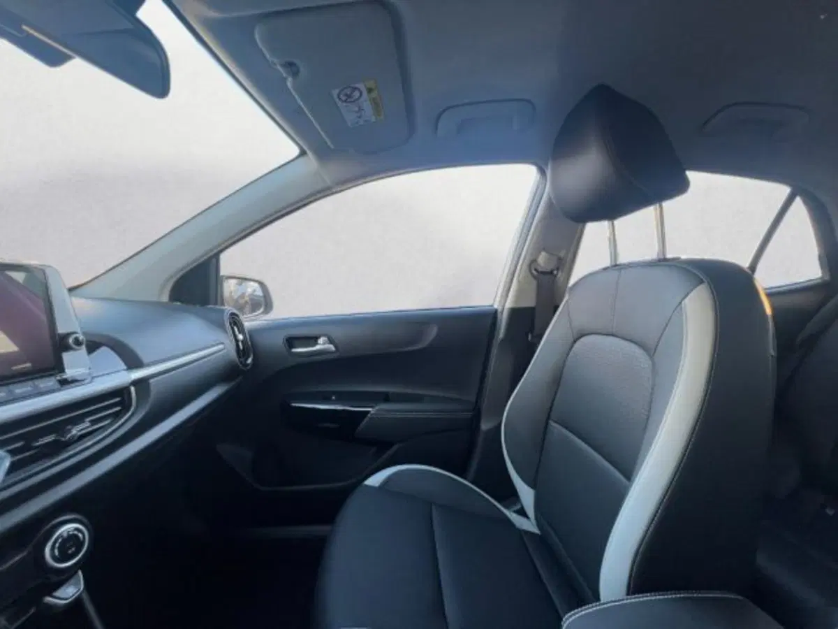 Kia Picanto nuova a Udine (6)