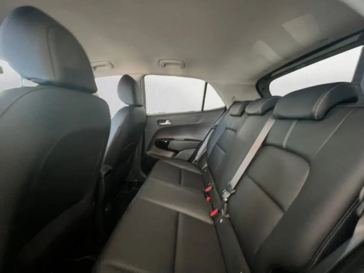 Kia Picanto nuova a Udine (7)