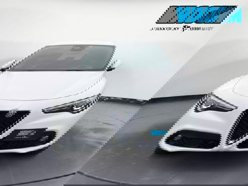 Alfa Romeo Stelvio usata a Udine (2)