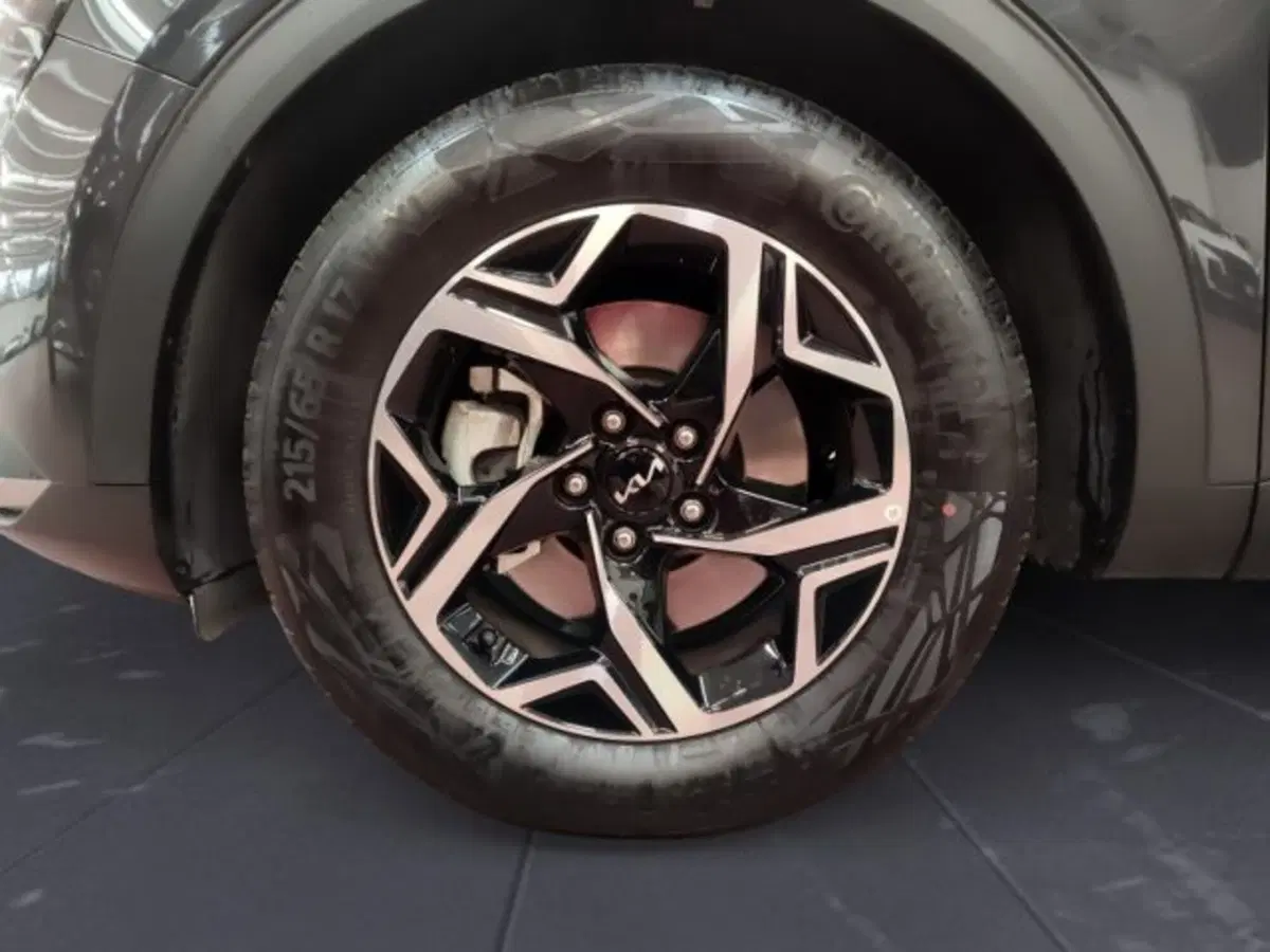 Kia Sportage usata a Udine (16)