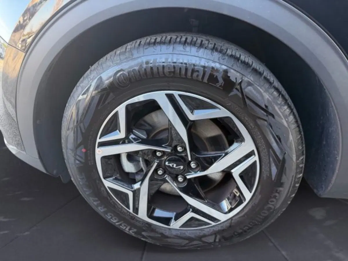 Kia Sportage usata a Udine (13)