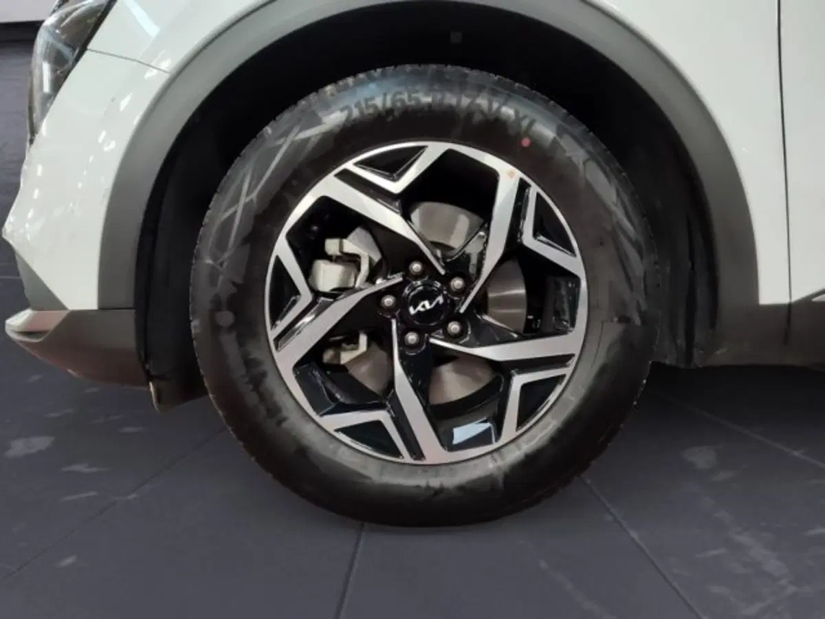 Kia Sportage usata a Udine (13)