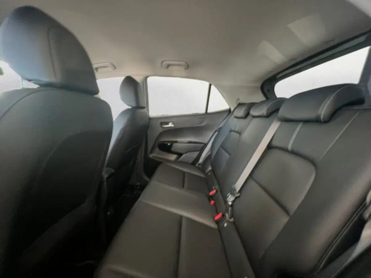 Kia Picanto nuova a Udine (10)