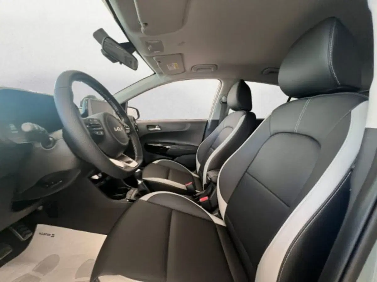 Kia Picanto nuova a Udine (7)
