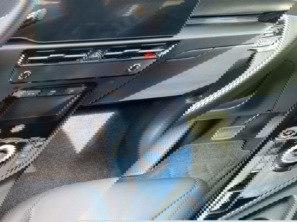Kia Niro usata a Udine (8)