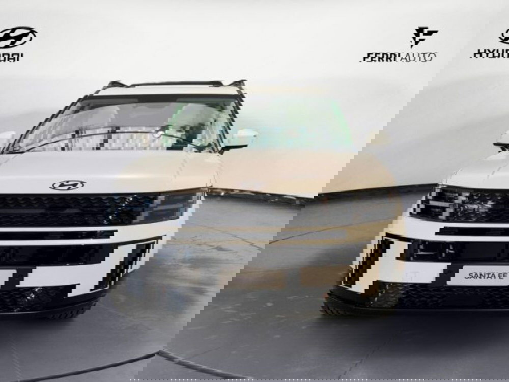 Hyundai Santa Fe nuova a Udine (2)