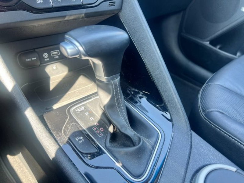 Kia Niro usata a Udine (14)