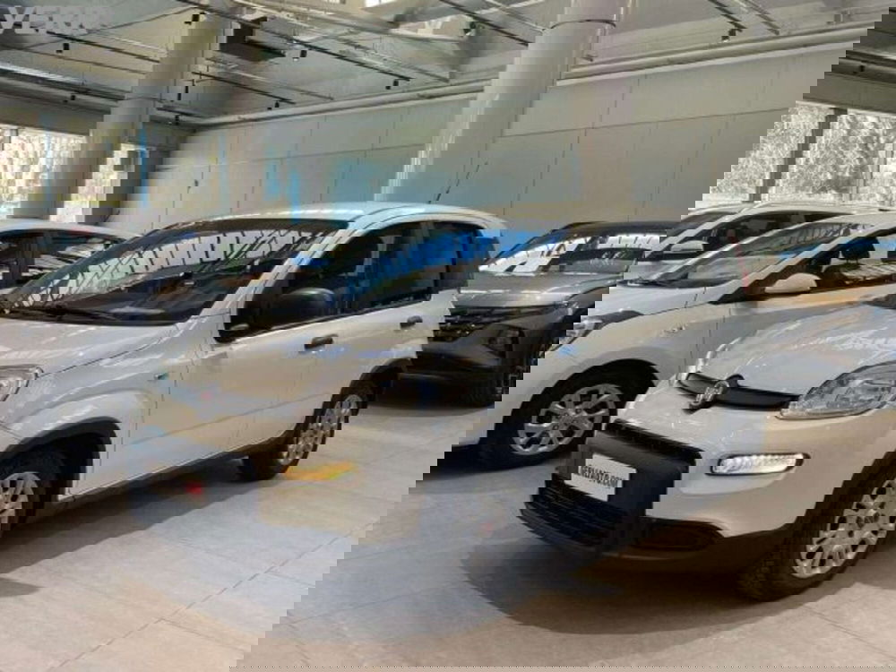 Fiat Panda usata a Milano (2)