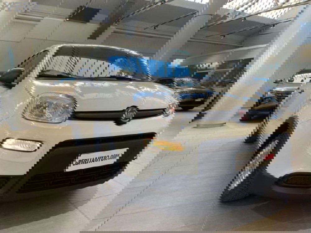 Fiat Panda usata a Milano (3)