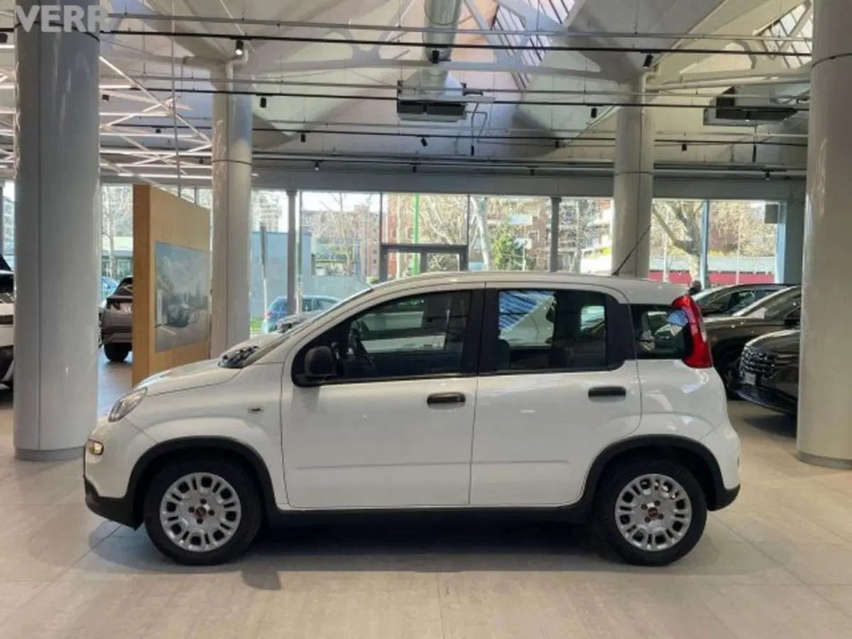 Fiat Panda usata a Milano (5)