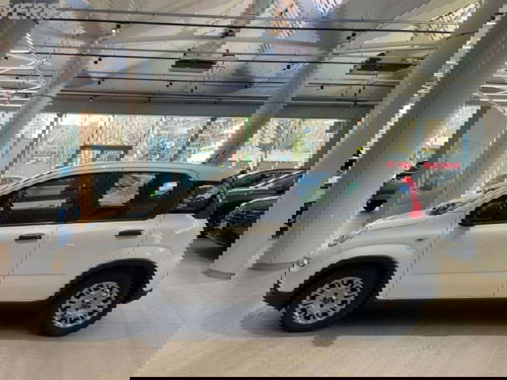 Fiat Panda usata a Milano (5)