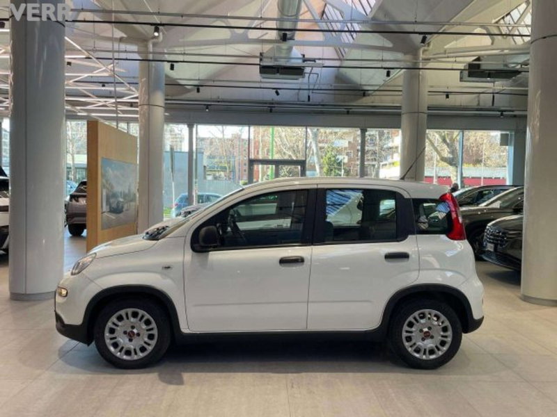 Fiat Panda usata a Milano (5)