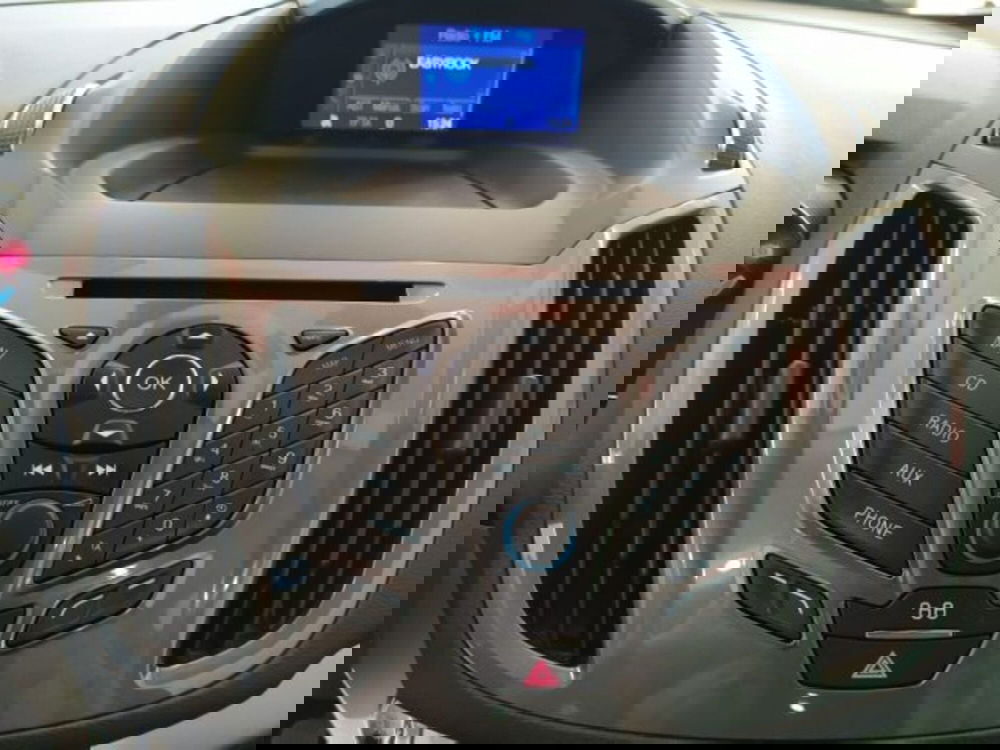 Ford C-Max usata a Trieste (12)