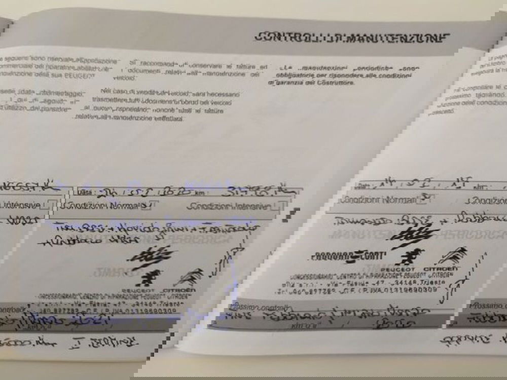 Peugeot 2008 usata a Trieste (20)