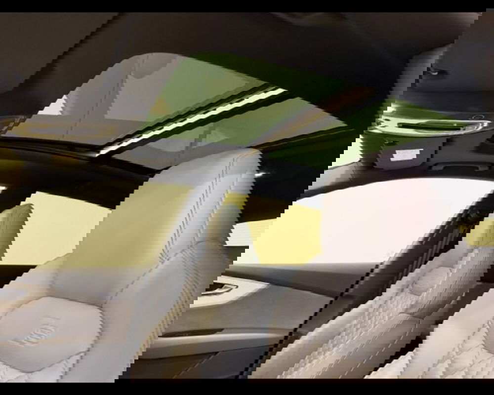 Audi Q8 usata a Treviso (10)