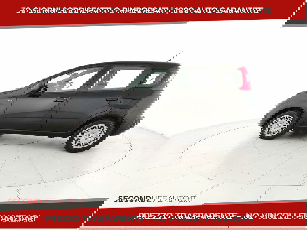 Fiat Pandina nuova a Chieti (2)