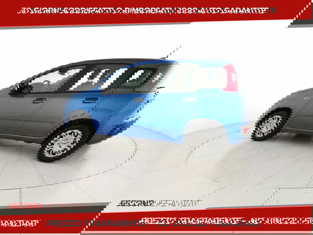 Fiat Pandina nuova a Chieti (2)