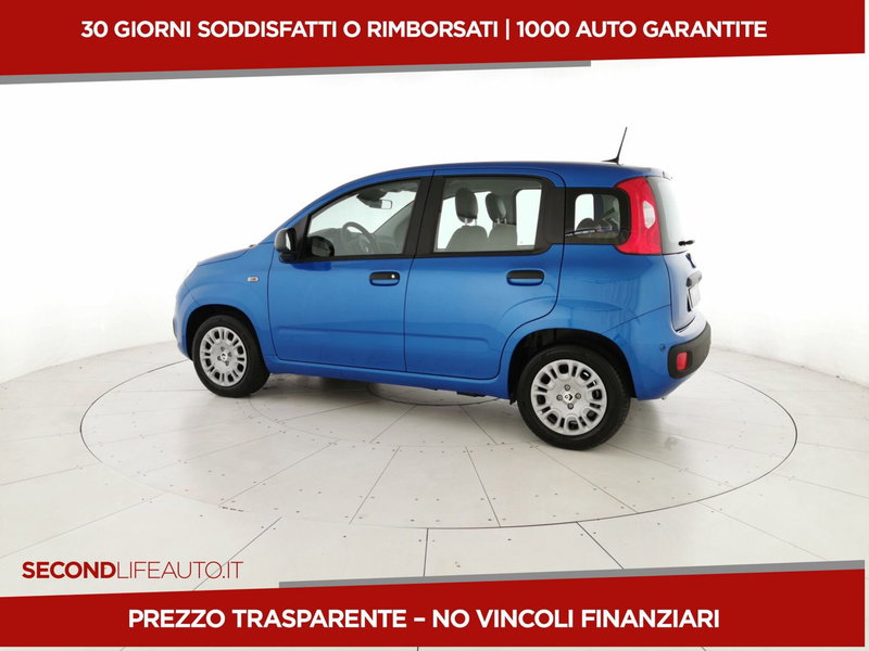 Fiat Pandina nuova a Chieti (2)