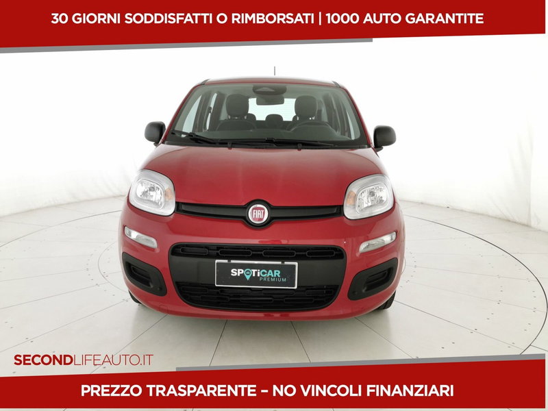 Fiat Pandina nuova a Chieti (19)