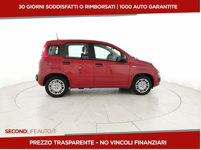 Fiat Pandina nuova a Chieti (4)