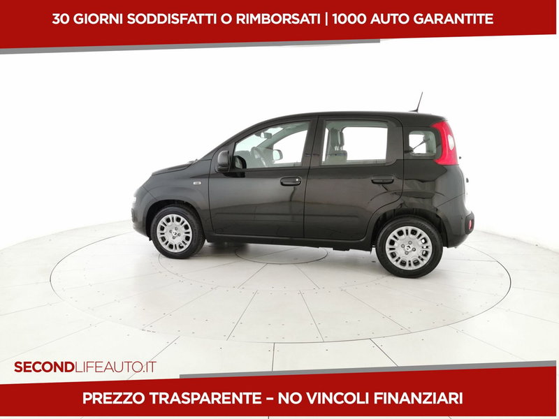 Fiat Pandina nuova a Chieti (2)
