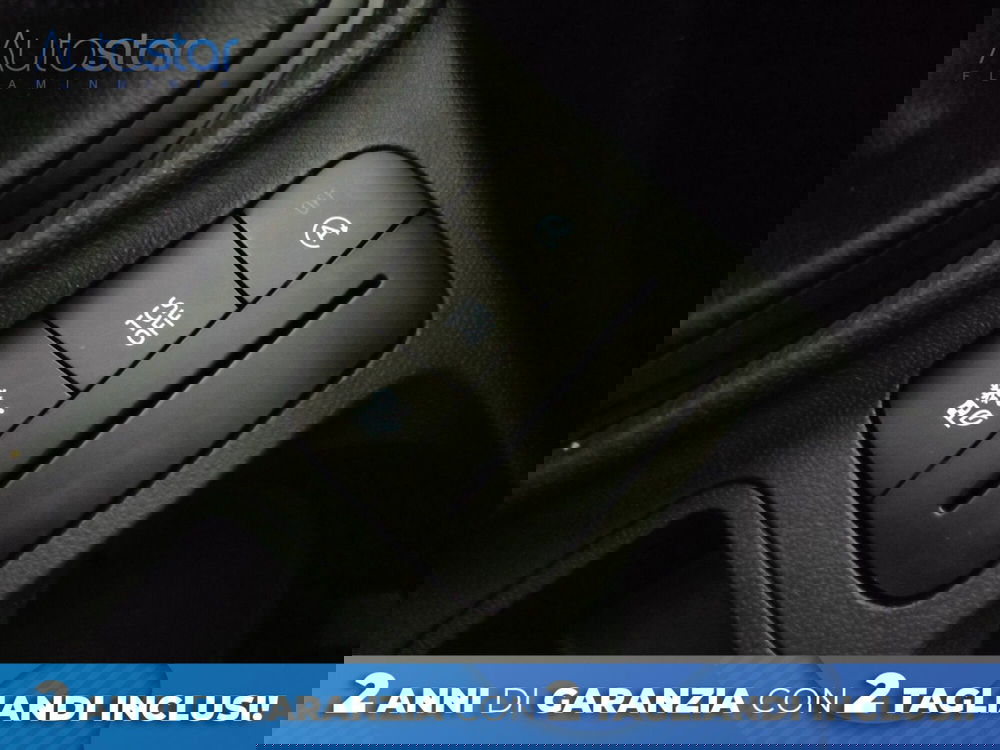 Ford Fiesta usata a Roma (18)