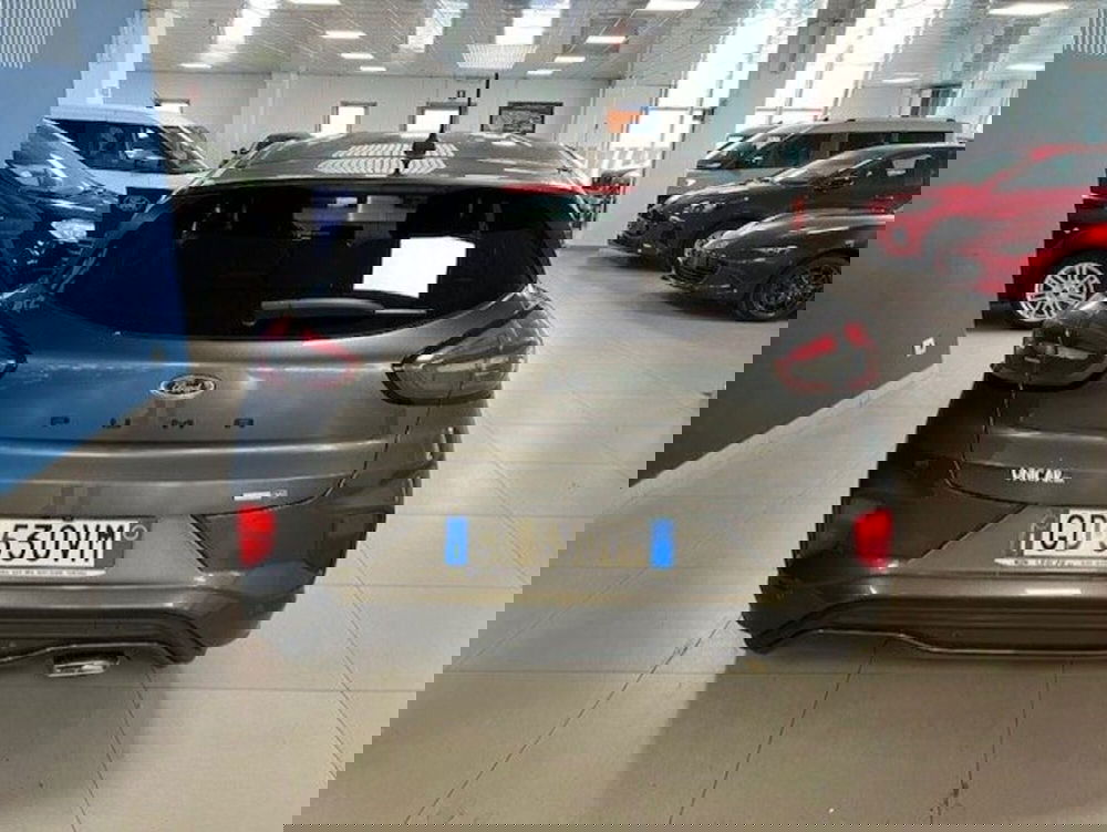 Ford Puma usata a Cuneo (5)