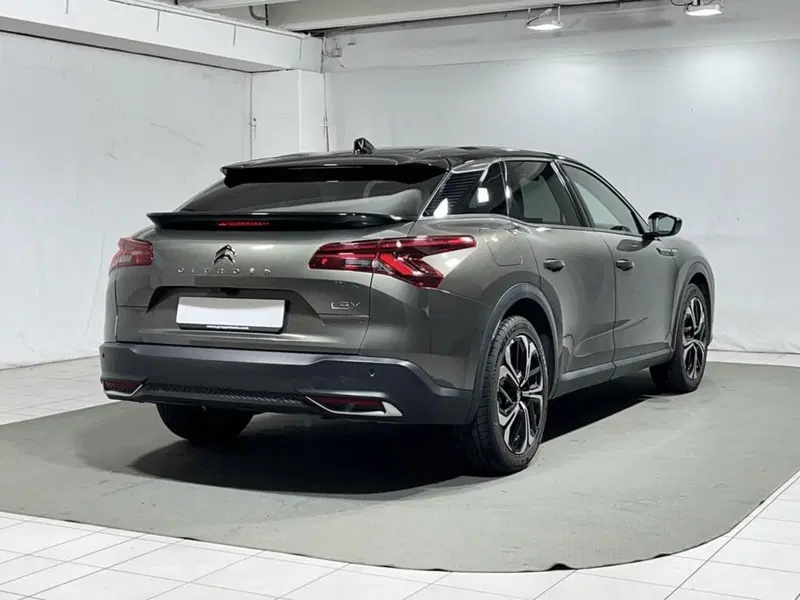 Citroen C5 X usata a Sondrio (5)