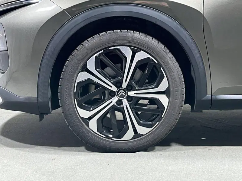Citroen C5 X usata a Sondrio (9)