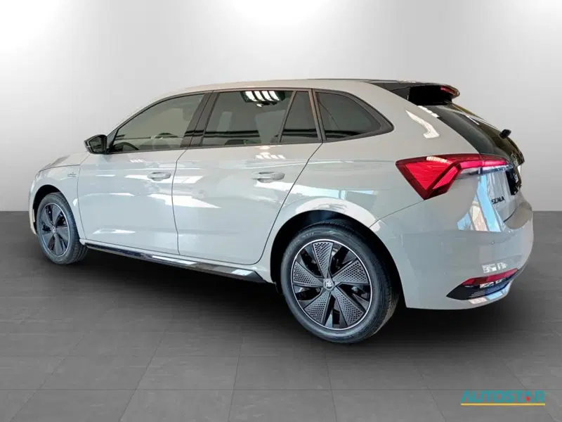 Skoda Scala nuova a Piacenza (4)