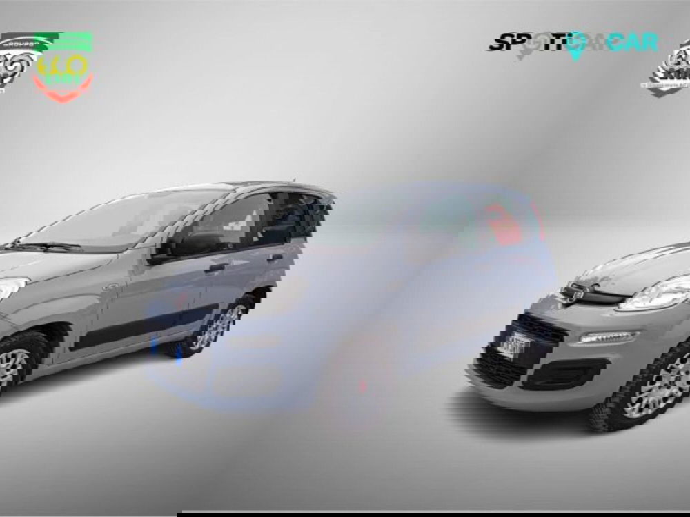 Fiat Panda usata a Frosinone