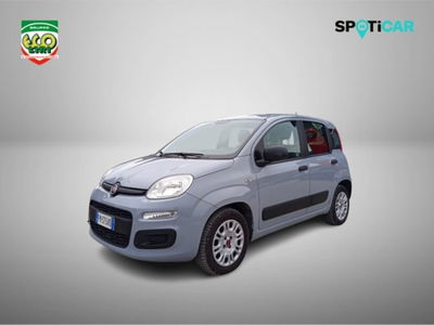 Fiat Panda 1.2 Pop del 2018 usata a San Giorgio a Liri