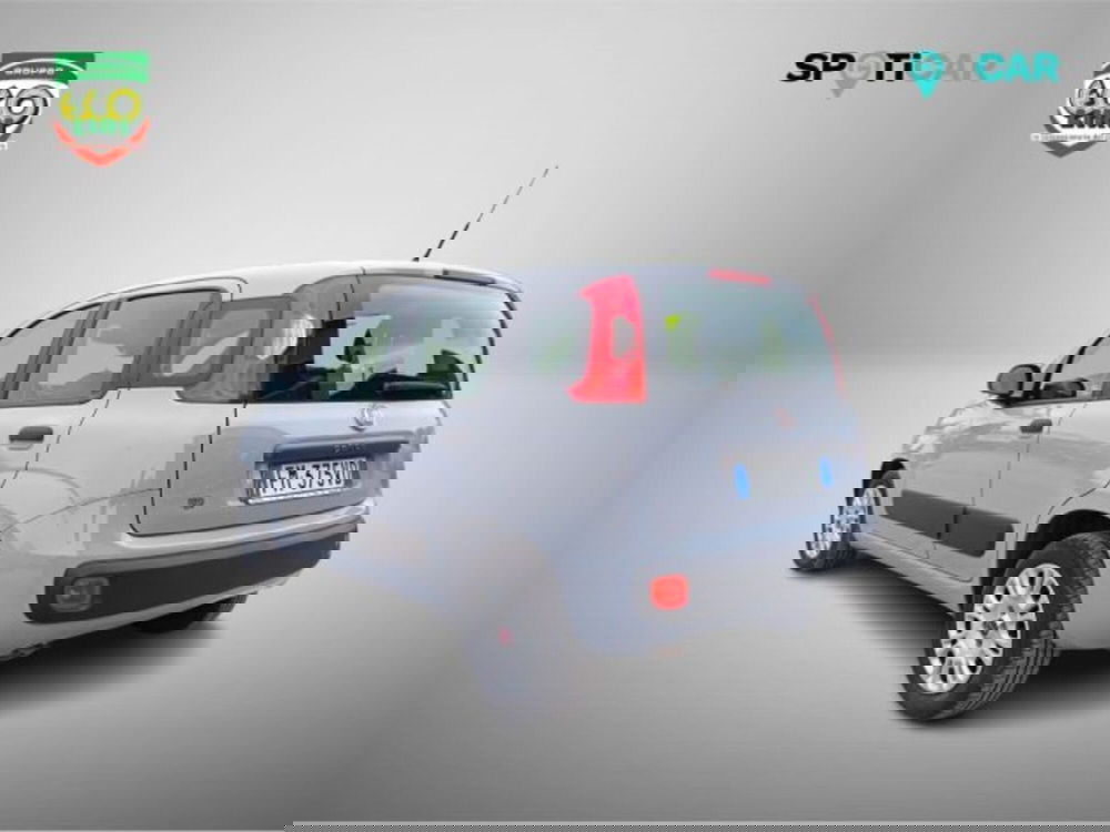 Fiat Panda usata a Frosinone (15)