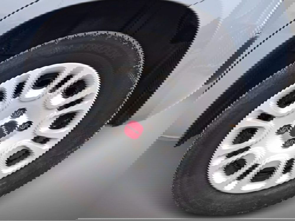 Fiat Panda usata a Frosinone (16)