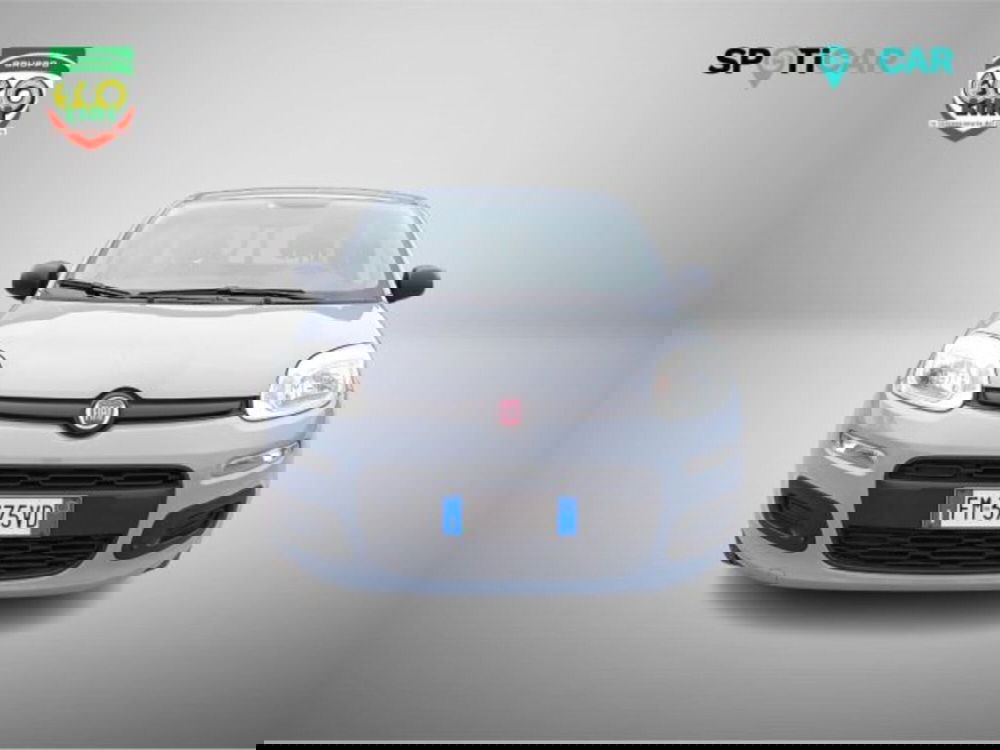 Fiat Panda usata a Frosinone (2)