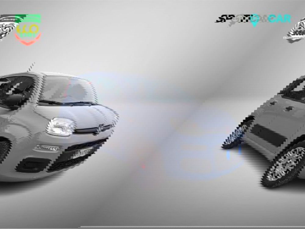 Fiat Panda usata a Frosinone (3)