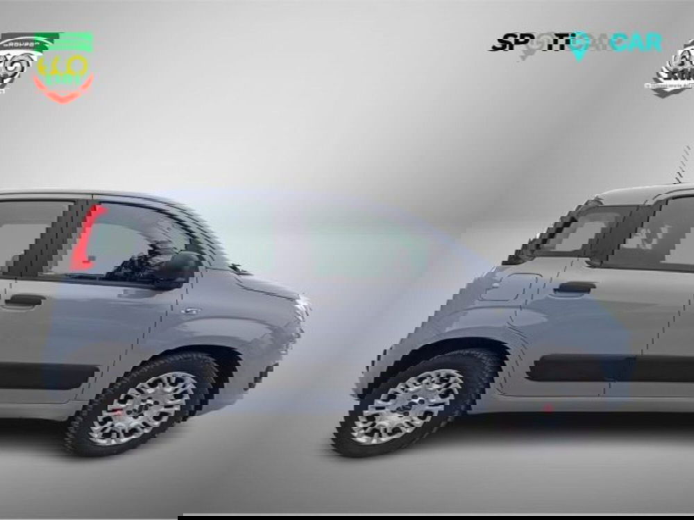 Fiat Panda usata a Frosinone (4)