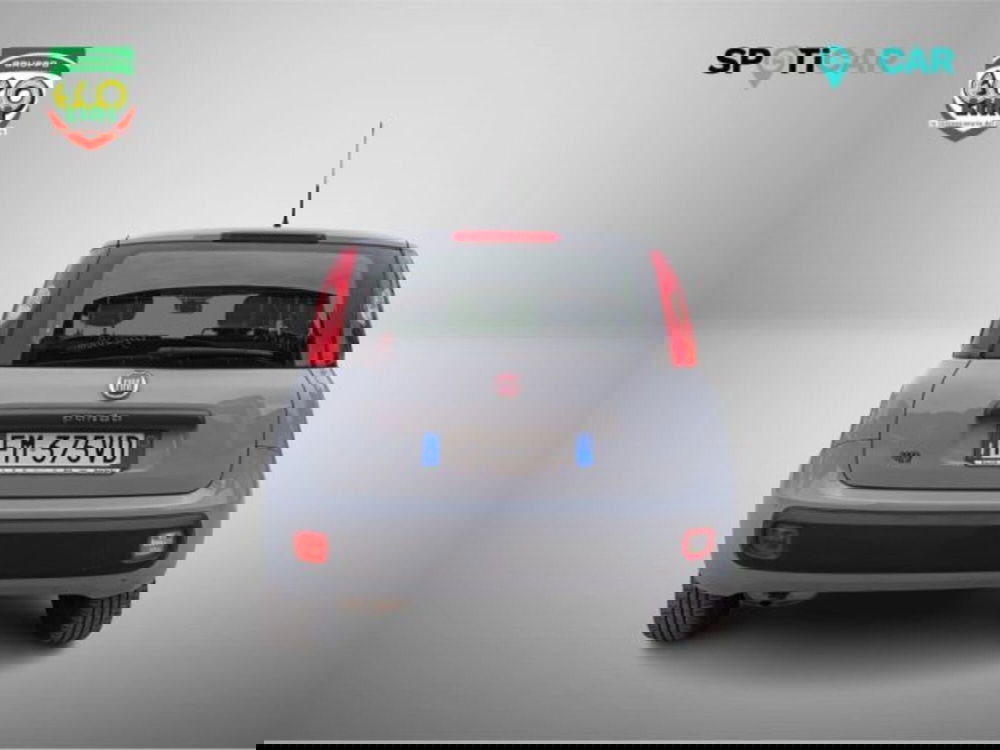 Fiat Panda usata a Frosinone (5)