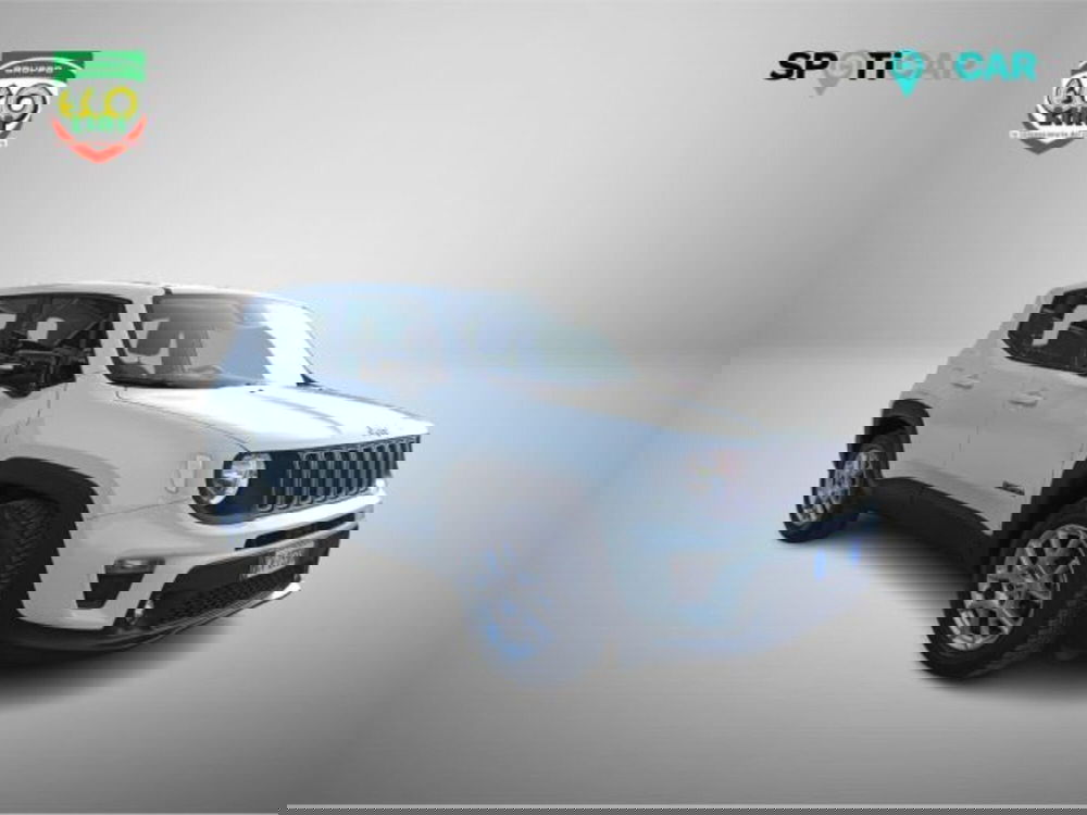 Jeep Renegade usata a Frosinone (3)